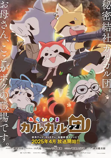 小浣熊