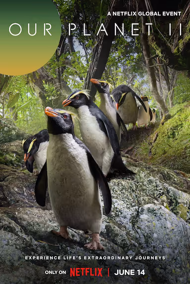 【电视剧】我们的星球 第二季 (2023) 夸克网盘