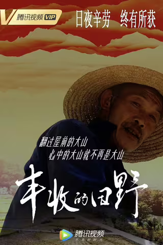 丰收的田野