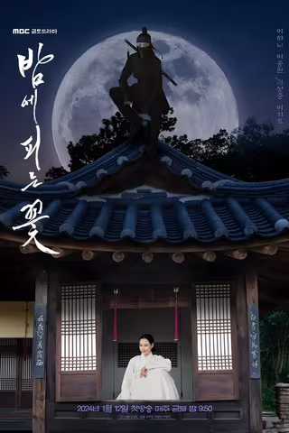 夜晚开的花