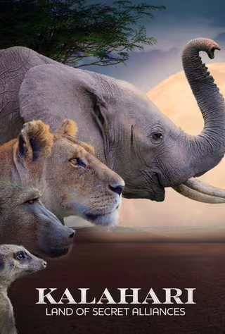 Kalahari, l&#39;autre loi de la jungle Season 1