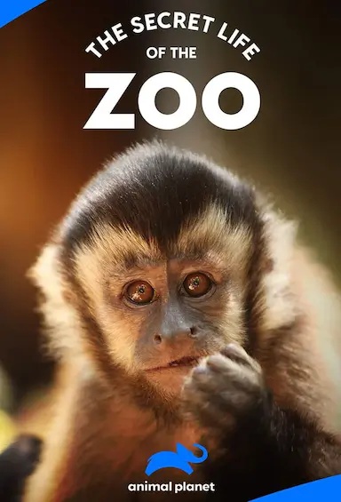 动物园的秘密生活 第一季 The Secret Life of the Zoo Season 1 (2016)-GBTGame 发布站