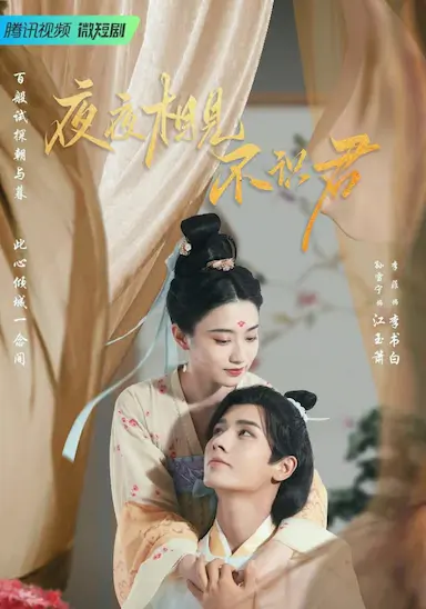 夜夜相见不识君